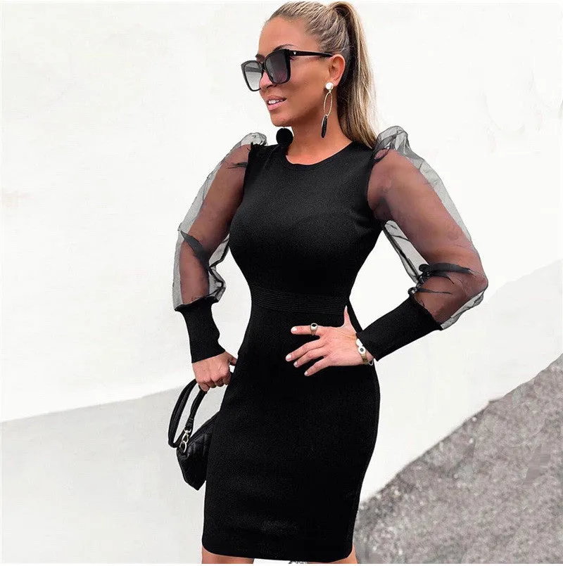 Elegant Mesh Sheer Bodycon Mini Dess