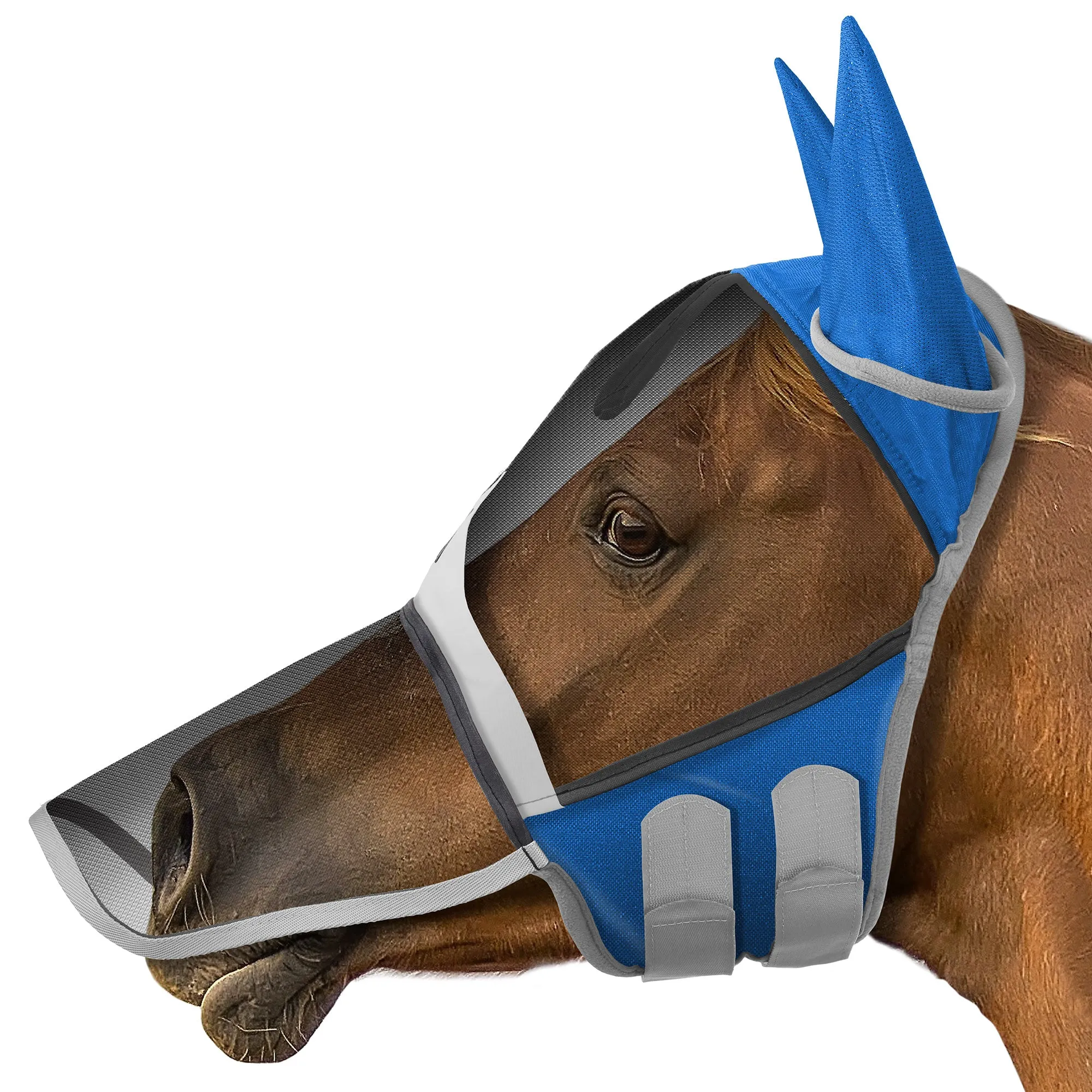 Horse Equine Fly Mask with Long Nose, Ear Protection, Mesh