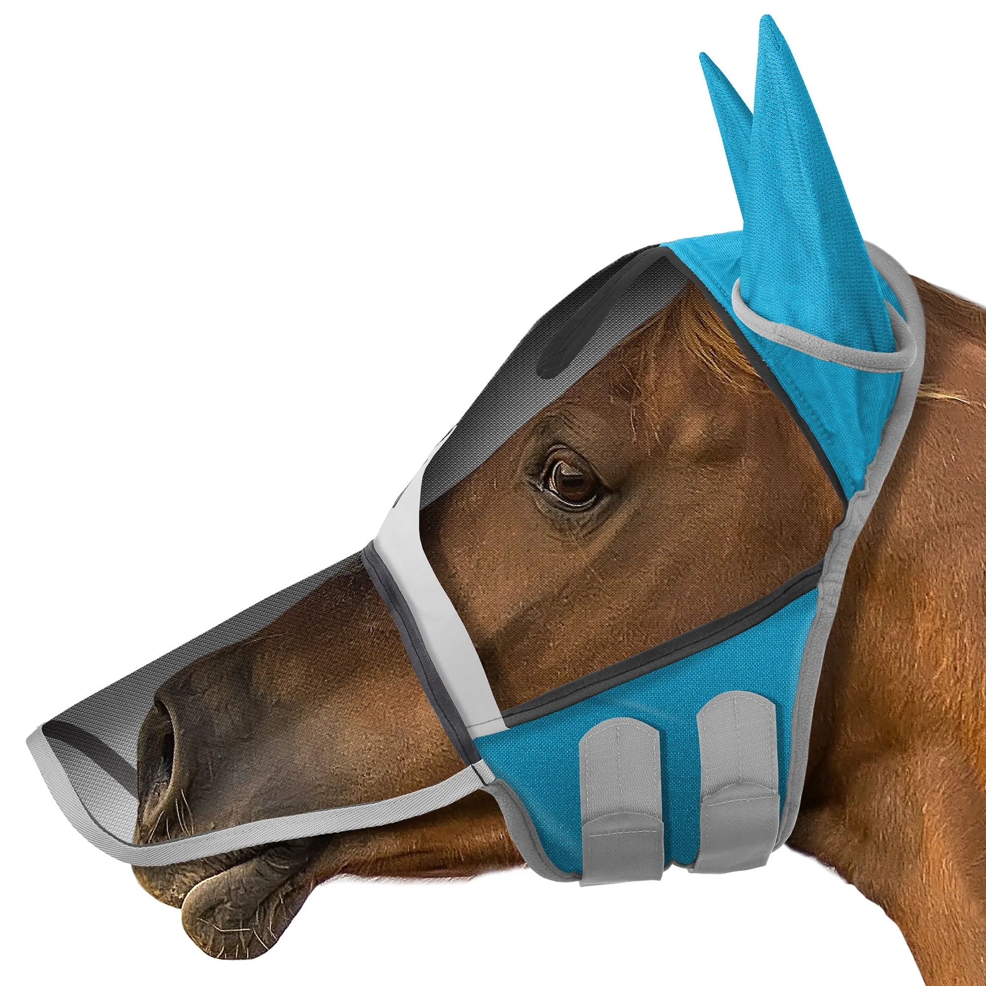 Horse Equine Fly Mask with Long Nose, Ear Protection, Mesh