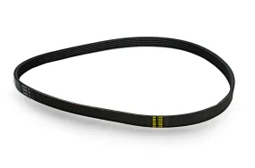 Poly-V Belt - MX M4 M2